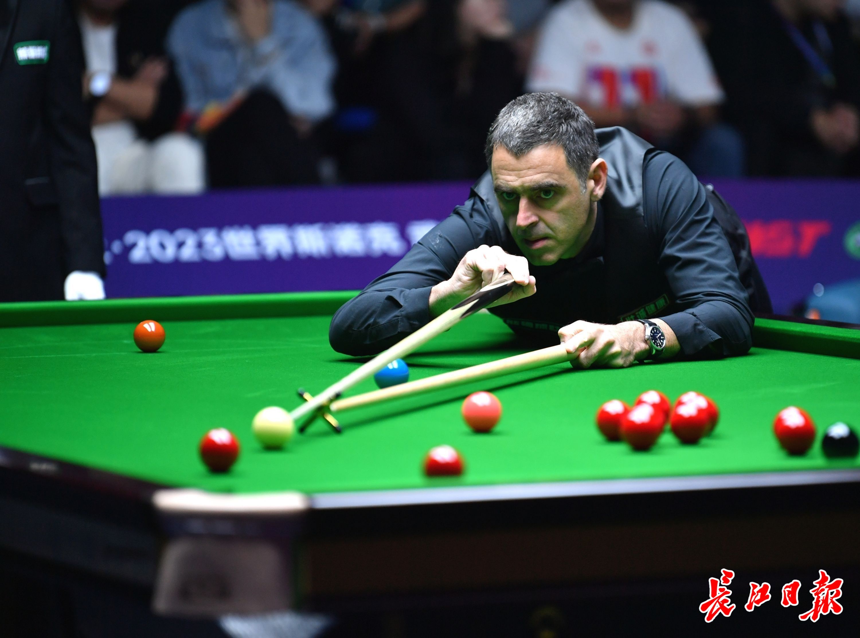 经验与适应 经验与适应